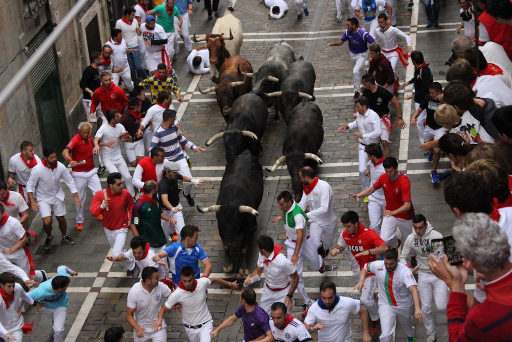 Running of the Bulls Pamplona