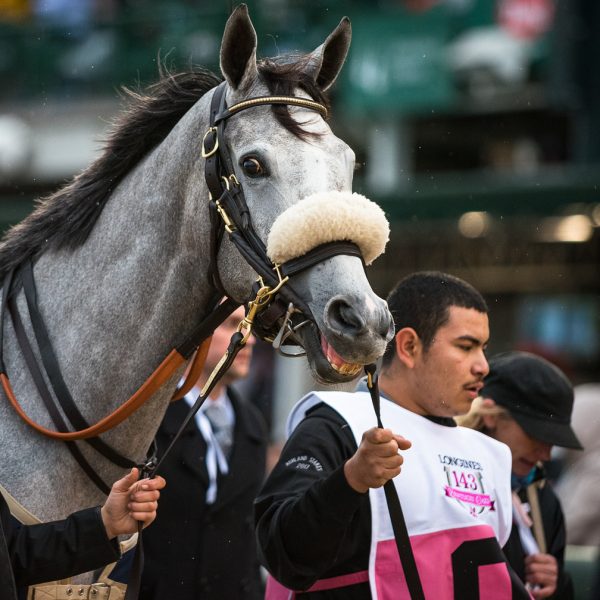 longines kentucky oaks