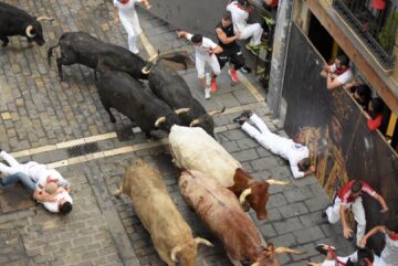 Brandy Sylvan, Pamplona Client