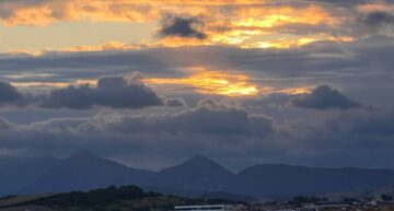 Sam Cucciniello, 2024 Pamplona Client