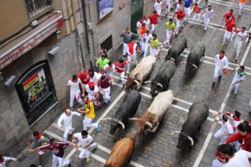 Edward Michaelson, Pamplona Client