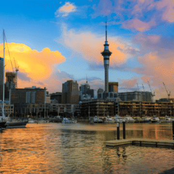 Sarah Karlek, Women’s World Cup Client