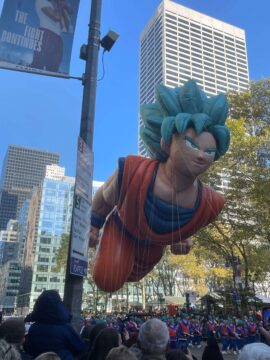 Mary Pfeifer, NYC Client