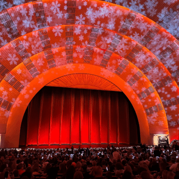 Doris Schmaltz, NYC Client