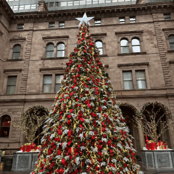 The Tarr Family, NYC Client