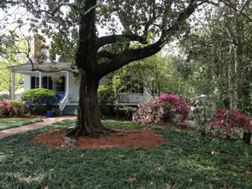 Deanne Delke, Masters Client