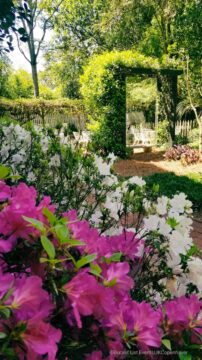 Gary Moore, Masters Client