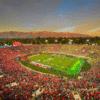 2026 Rose Parade and Rose Bowl Game Packages - Bucket List Events