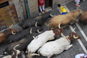 Matt Pasco, Running of the Bulls Client