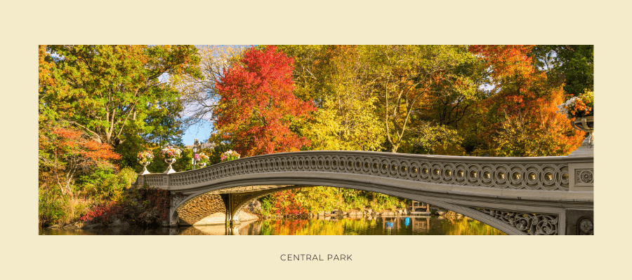 Best Things to Do in New York City During the Holidays