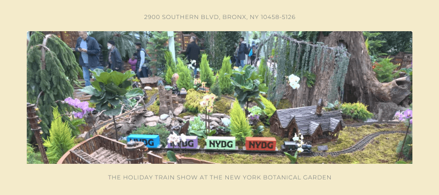 Best Things to Do in New York City During the Holidays